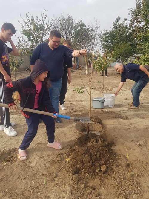 Copilul si pomul sau