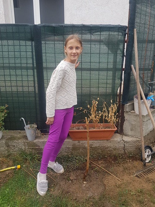 Copilul si pomul sau