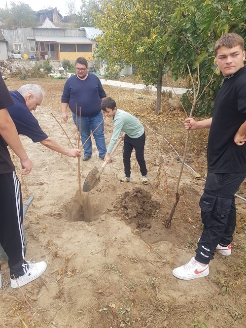 Copilul si pomul sau