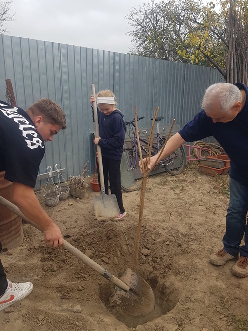 Copilul si pomul sau