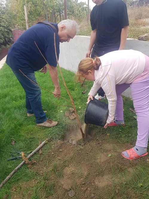 Copilul si pomul sau