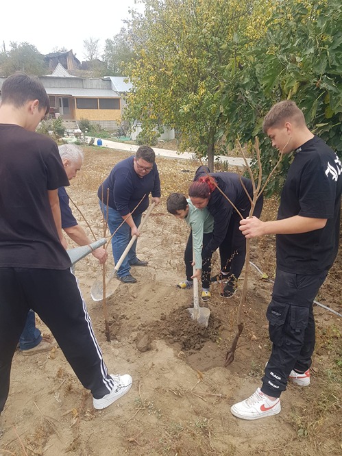 Copilul si pomul sau