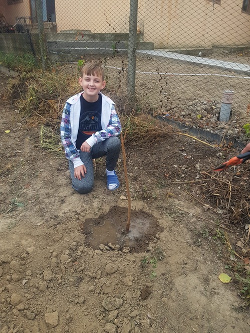 Copilul si pomul sau