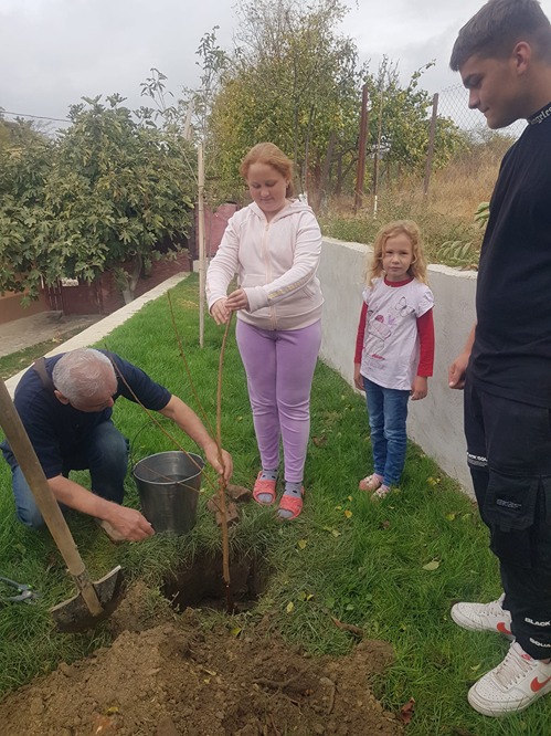 Copilul si pomul sau