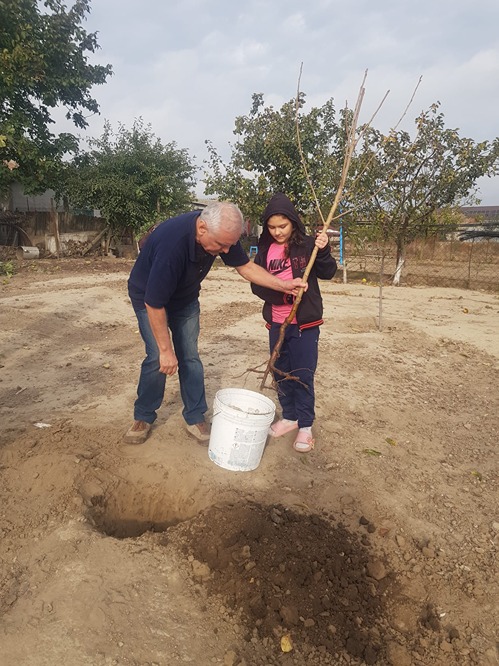 Copilul si pomul sau